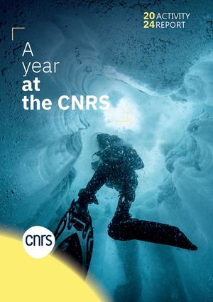 CNRS - Activity report 2024