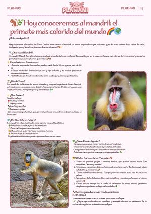 Hoy conoceremos al mandril: el primate más colorido del mundo