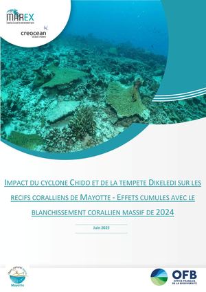 Impact du cyclone Chido et du blanchissment sur les récifs coralliens