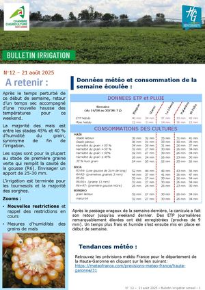 Bulletin Irrigation Eté2025 N°12