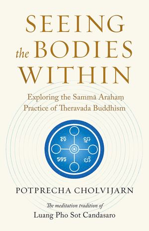 Seeing The Bodies Within_PB