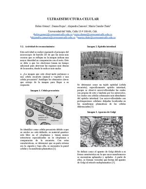 Práctica 2 Ultraestructura Celular Año 2023 con el profesor Juan José Gallego. BIOLOGÍA GENERAL - CIENCIAS. Universidad del valle