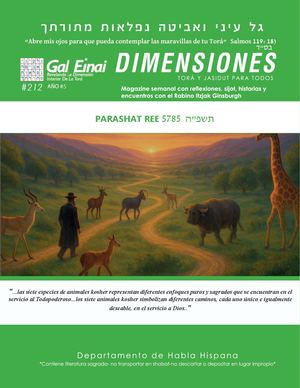 Dimensiones Parashat Ree Edición 212