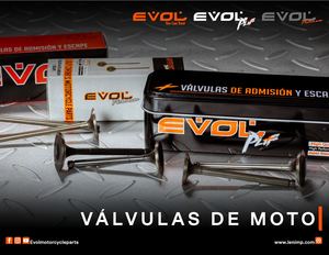Válvulas De Admisión Y Escape