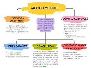 Mapa Conceptual Medio Ambiente