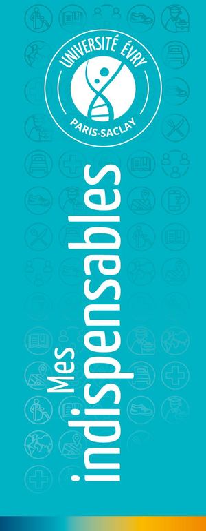 UEPS Mes Indis FR 2025 Web