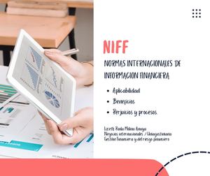 Las Niff Aplicabilidad, Beneficios, Perjuicios Y Procesos