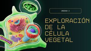 Exploración De La Célula Vegetal