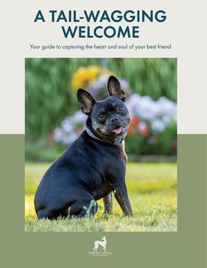 Welcome to Terri Jacobson Photography