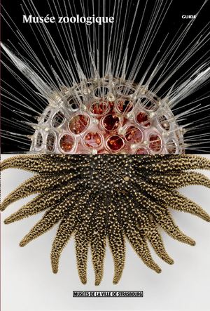 Musée zoologique - guide