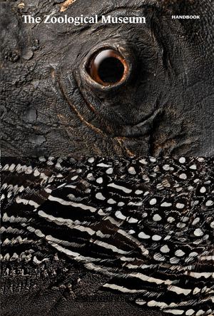 The Zoological Museum - handbook