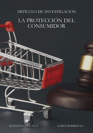 La Protección del Consumidor: Concepto, Evolución, Obligaciones y Derechos del Consumidor Frente al Proveedor