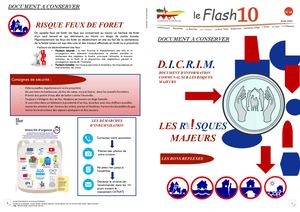 Flash 10 N°14