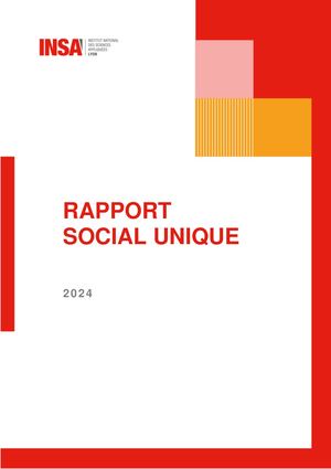 Rapport Social Unique 2024