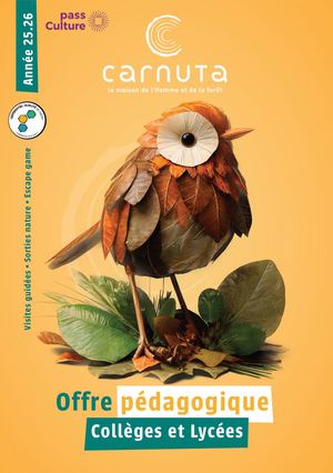 Offre Pédagogique Collèges Et Lycées 2025 2026