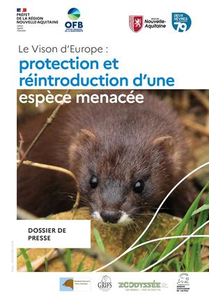 Dossier de presse - Le Vison d’Europe : protection et réintroduction d’une espèce menacée