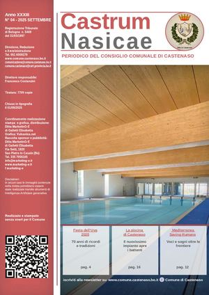 Castrum Nasicae 04