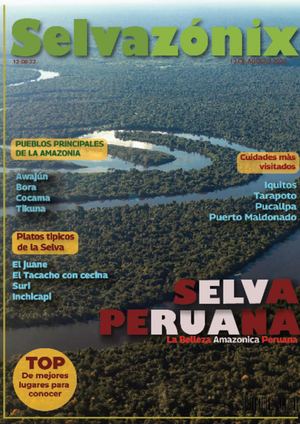 Revista Completa