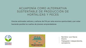 Luis Miguel navia Osorio Acuaponía Como Alternativa Sustentable De Producción De Hortalizas
