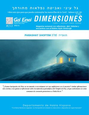 Dimensiones Parashat Shoftim Edición 213