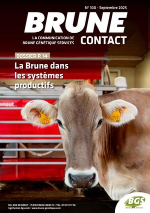 Brune Contact 2025