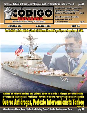 CODIGO CIUDADANO 833