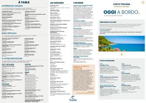 Exemple Journal de bord Tosca Costana