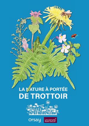 Guide Herbes Sauvages