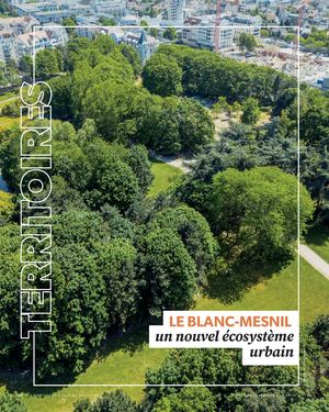 Dossier Le Banc-Mesnil - Juillet 2025