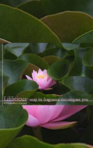 Claudine ! - Ikeda Riyoko - Scantrad English