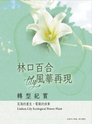 林口百合風華再現