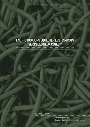 HMONP - Mémoire // Paul BESANÇON