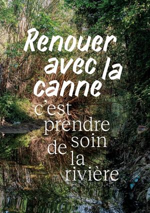 Renouer avec la canne