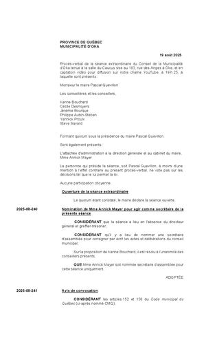 2025-08-19 - Séance extraordinaire