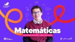 Malla Curricular Matematicas Secundaria