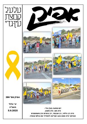 אפיק 384 8 2025