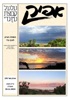 אפיק 375 11 2024