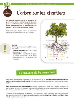 Protection Arbre Sur Les Chantiers - SICOVAL