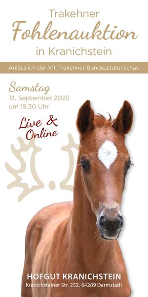 Fohlenauktion Kranichstein