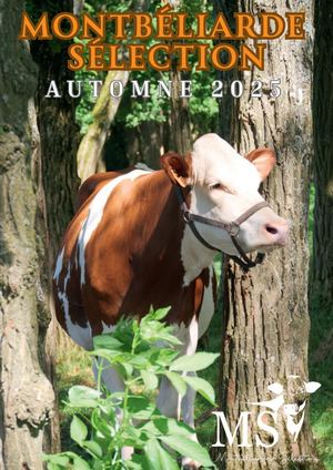 Catalogue Montbeliarde Selection 2024 Printemps - Été