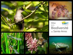 Atlas de la biodiversité communale