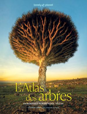 L'Atlas des arbres - Un incroyable tour du monde végétal