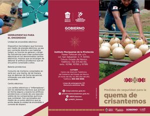 Triptico Crisantemo Imepi