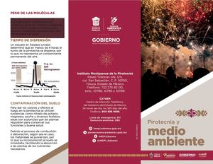 Triptico Medio Ambiente Imepi