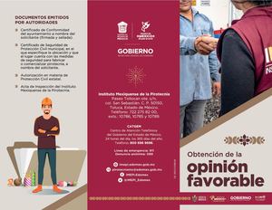 Triptico Opinion F Imepi