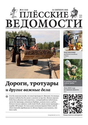 Газета "Плёсские ведомости". Выпуск №433