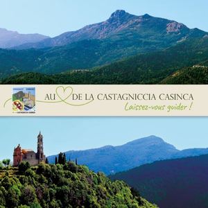 Guide Numérique CCCC