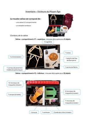 Visiteurs Du Moyen-Âge