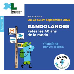 Randolandes 40 bougies à souffler