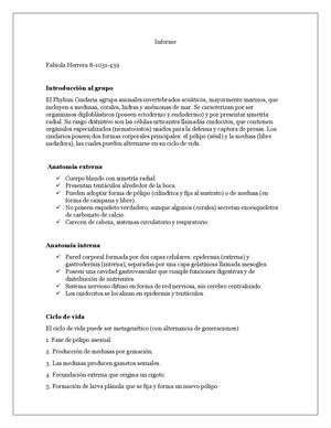 Informe